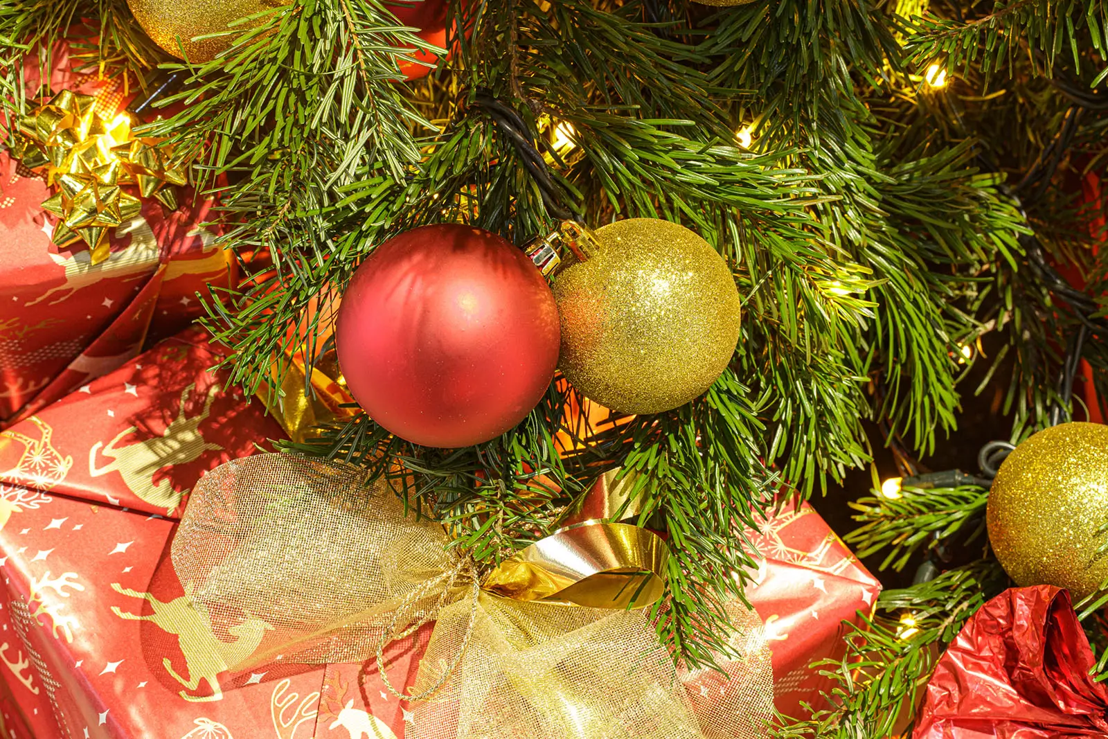 Christbaum-Service_Galerie_HT-Tech-002