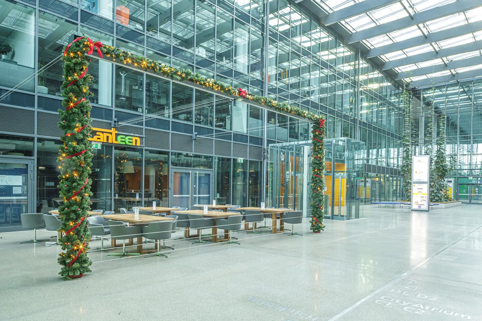 Christbaum-Service_Galerie_Riverside-001